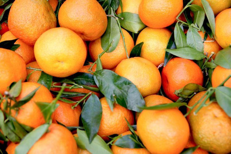 meyvede-ihracat-sampiyonu-mandalina